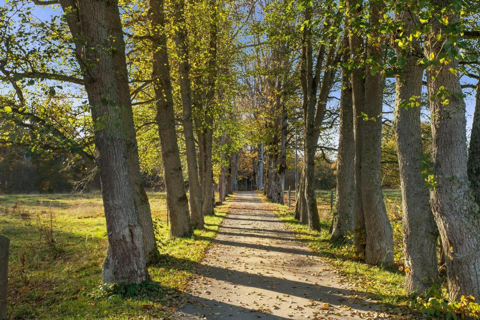 Grimsnas Herrgard Ljuder (Kronoberg) Eksteriør bilde